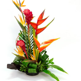 Tropical flower arrangement with orange bird-of-paradise and red ginger in a low container