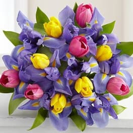 Bouquet of purple, pink, and yellow tulips with green leaves