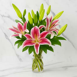 Pink and white lilies in a clear glass vase