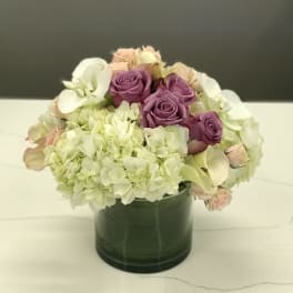 Carolina by BloomNation™