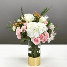 Summer Sorbet