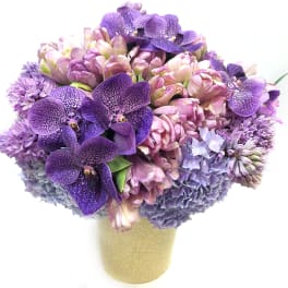 Purple Tulips, Hydrangeas and Orchids - My Beverly Hills Florist