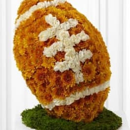 American™ Football Tribute