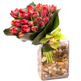 Tulips in a Rectangular vase