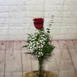 Single red rose in a clear glass vase with white filler flowers