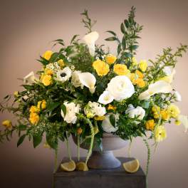 Sole di Capri