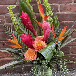 Paradise Blooms
