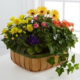 The Gentle Blossoms™ Basket