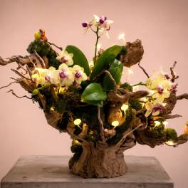 Orchid arrangement in driftwood with moss and small bird figurines