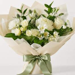 OUR CHOICE - CLASSIC WHITES