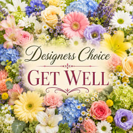 Get Well - Designers Choice