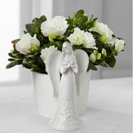 Light the Way Azalea Angel Planter