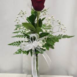 Single red rose in a clear glass vase with white ribbon and baby's breath