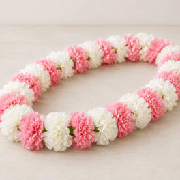 Carnation Lei