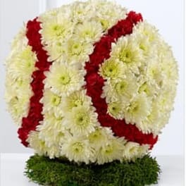 All-American Tribute™ Baseball