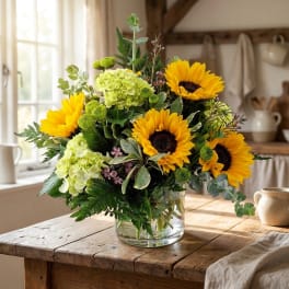 Sunflower and green hydrangea arrangement in a clear glass vase
