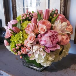 Spring in Paris