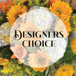 Designer's Choice Arrangement