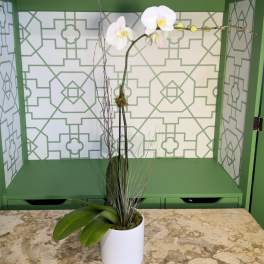 White orchid plant in a white pot with decorative grass