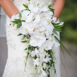 Bride holding a cascading white orchid bouquet with green accents