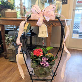 Bountiful Blooms Plant Garden
