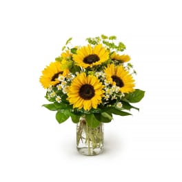 Sunflower bouquet with small white daisies in a glass vase