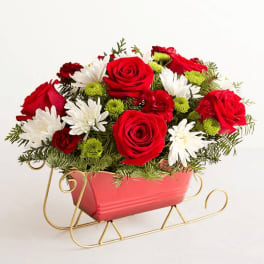 Red roses and white daisies in a pink sleigh planter
