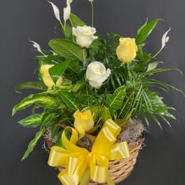 Basket arrangement of yellow and white roses with white peace lilies