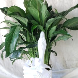 Potted green plant with a white figurine and ribbon bow