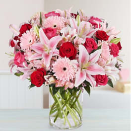 Pink Posh
