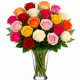 2 Dozen Rainbow Wish Roses