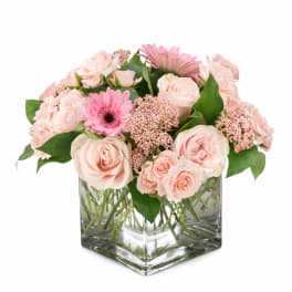 Pink roses and gerbera daisies arranged in a square glass vase