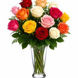 1 Dozen Rainbow Wish Roses