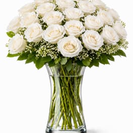 2 Dozen White Roses