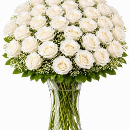 3 Dozen White Roses
