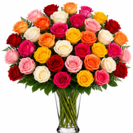 3 Dozen Rainbow Wish Roses