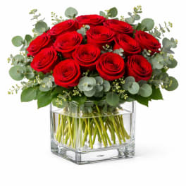 Red roses arranged in a clear glass vase with round eucalyptus foliage