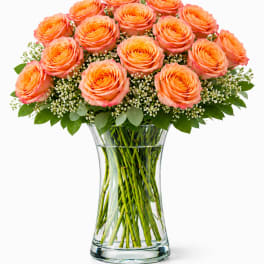 2 Dozen Free Spirit Roses