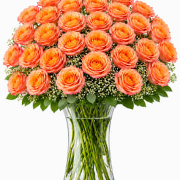 3 Dozen Free Spirit Roses