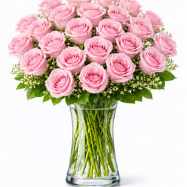 2 Dozen Light Pink Roses