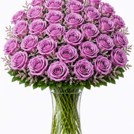 3 Dozen Lavender Roses