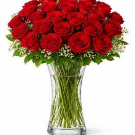2 Dozen Red Roses