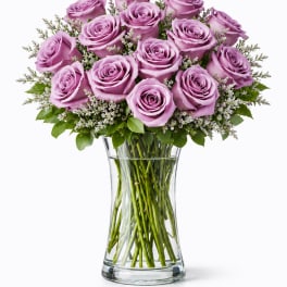 1 Dozen Lavender Roses