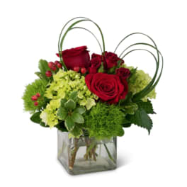 Red roses and green hydrangeas in a square glass vase