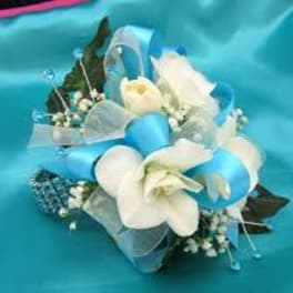 White flowers with blue ribbon and translucent wrap on a turquoise background