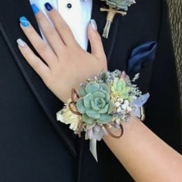 Hand corsage with pale succulents and small white flowers on a wrist ribbon