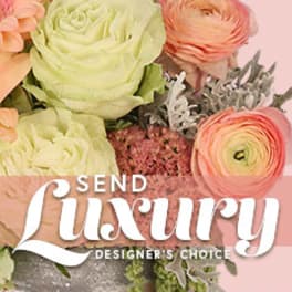 Pastel bouquet with ranunculus and roses on a pink background