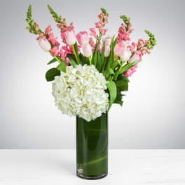 Pink tulips and snapdragons with a white hydrangea in a tall glass vase