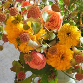 Arrangement of yellow marigolds and peach roses with brown seed pods in a pale vase