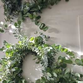 Pair of lush eucalyptus wreaths hanging on a light-colored wall